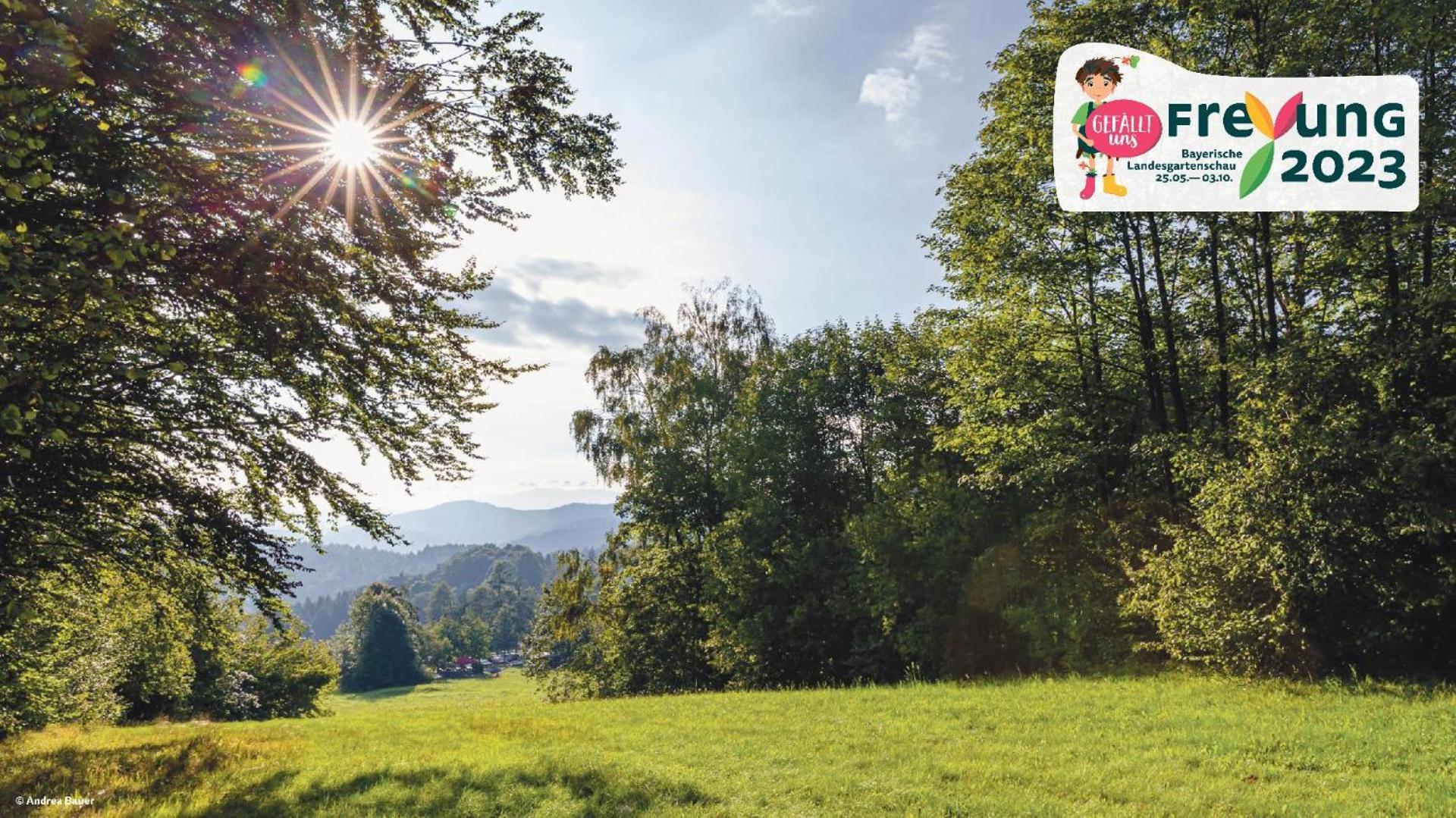 Ferienwohnungen Bayerischer Wald Mit Pool Freyung Exterior foto